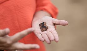 Aparecen fragmentos de cermicas griegas del siglo V en la necrpolis tartsica de Medelln Aparecen fragmentos de cermicas griegas del siglo V en la necrpolis tartsica de Medelln