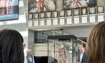 La exposicin internacional Human Bodies llega a Extremadura para mostrarse en el CCMIJU